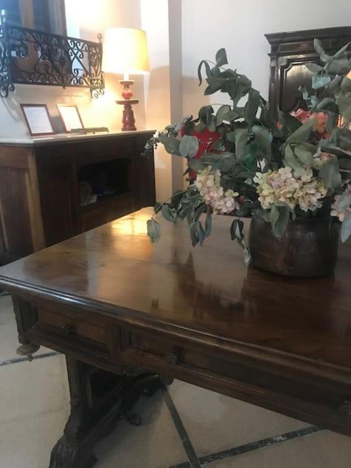 Ca Margalef - Casa Rural Con Encanto Ginestar Zewnętrze zdjęcie