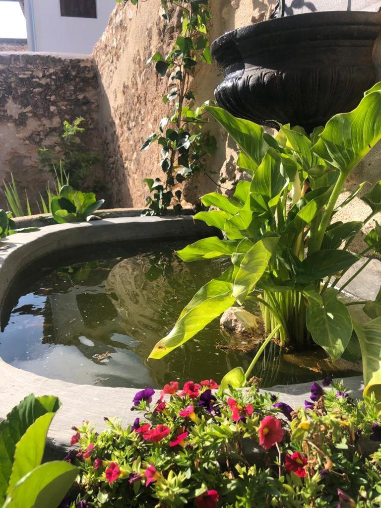 Ca Margalef - Casa Rural Con Encanto Ginestar Zewnętrze zdjęcie